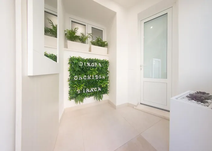 Dimora Orchidea Bianca